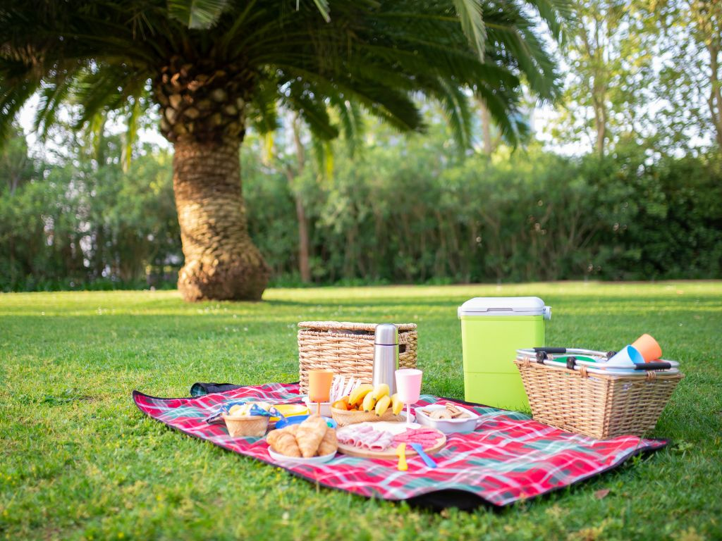 The Best Places to Have a Picnic in Singapore